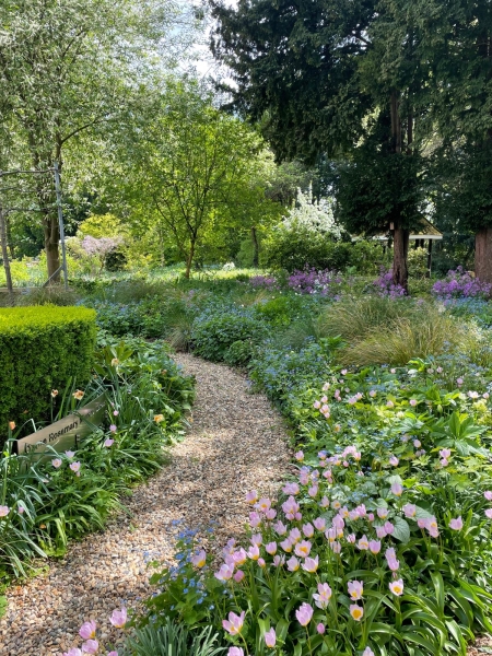 Murray Edwards College